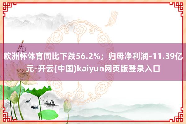 歐洲杯體育同比下跌56.2%;歸母凈利潤(rùn)-11.39億元-開云(中國(guó))kaiyun網(wǎng)頁(yè)版登錄入口